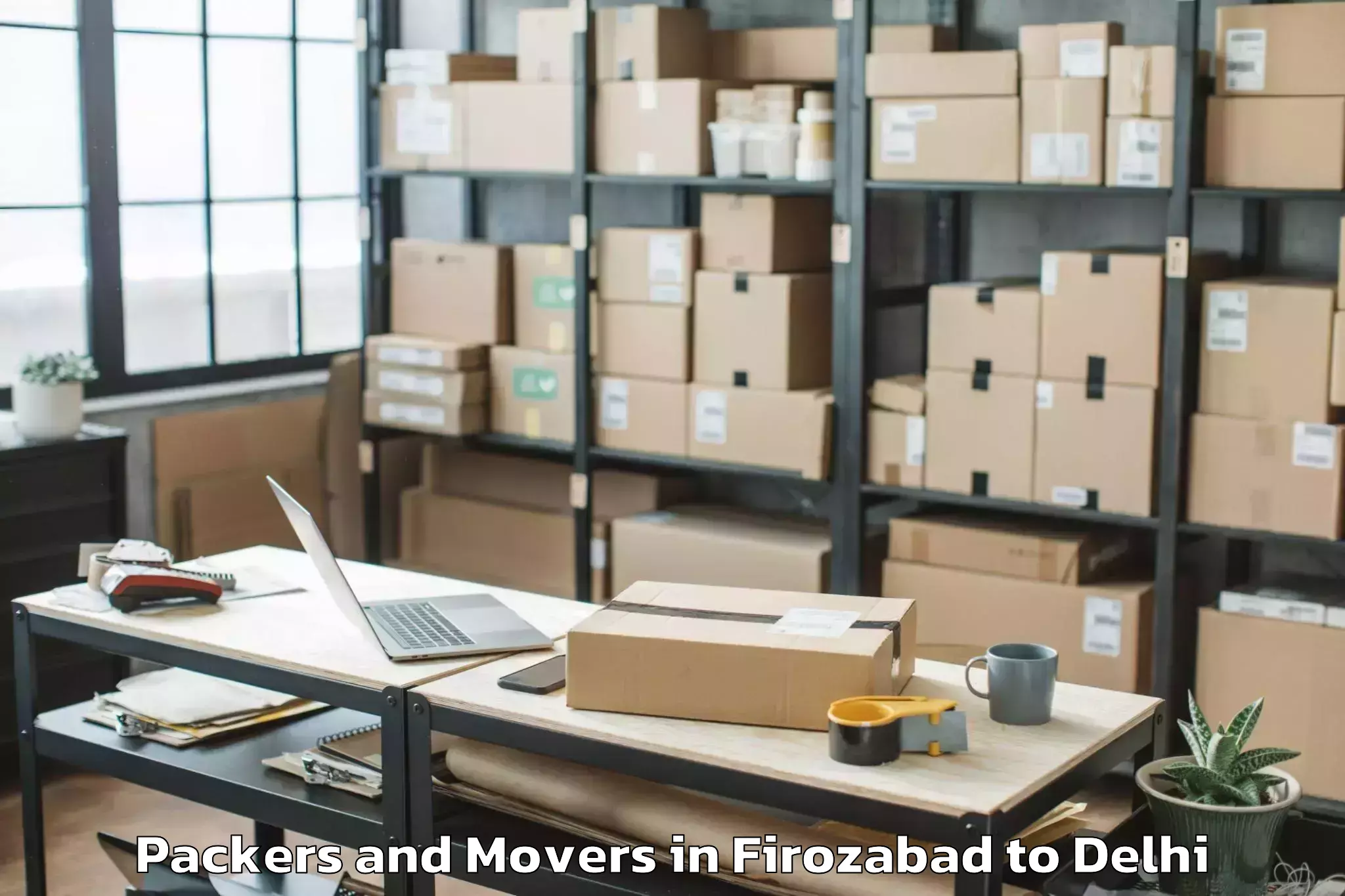 Professional Firozabad to Naraina Industrial Estate Packers And Movers